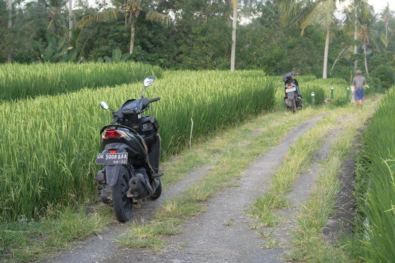 Las motos son el transporte oficial de Bali, y las encuentras aparcadas hasta en los arrozales