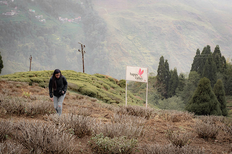 En Darjeeling, al norte de la India, visitando una plantación de té