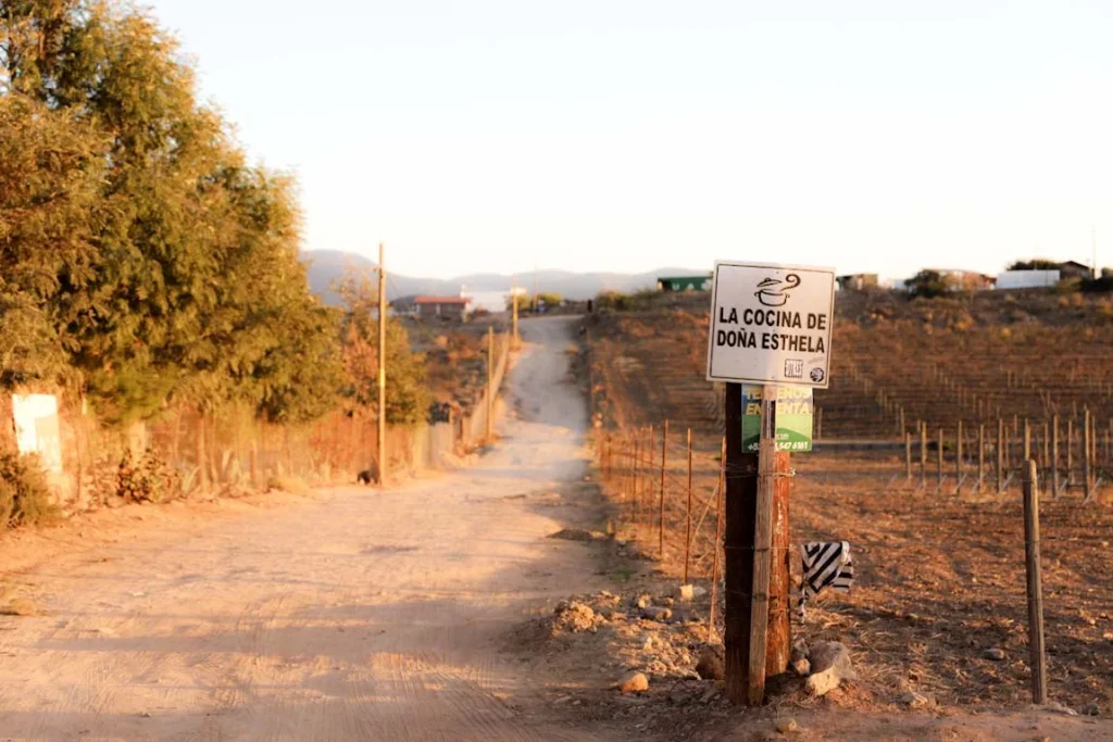 El camino de tierra para llegar a La Cocina de Doña Esthela, el mejor restaurante del Valle de Guadalupe